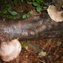 Picture_889