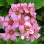 P7290503