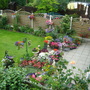 Neighborous' back garden