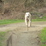 Ben in action