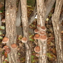 Dsc00108