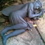 Even fairies have to sleep