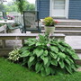back deck