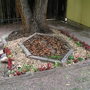 Shade_08-07