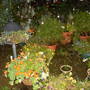 rainy night