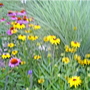 100_0988.jpg