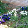 Sun and Shade Changes