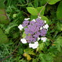 Dscn1809