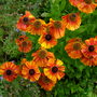 Dscn1803