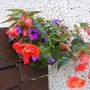31st_july_004