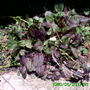 Growsonyou_photoes005