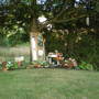 School day theme (Impatiens and hosta)