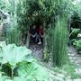 Boys in Willow dome.