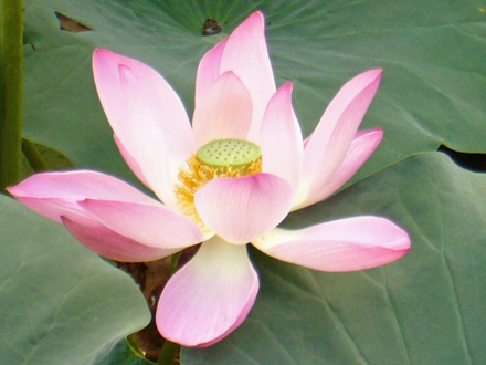 P1010380_edited.jpg