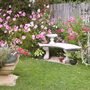 ...and still more Cosmos... (cosmos)