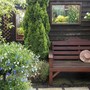 A garden flower photo