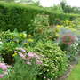 A Border of Perennials