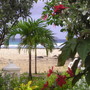 Room_view
