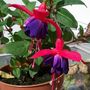 Picture_004