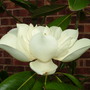 Abdul_s_pictures_063.jpg