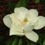 Abdul_s_pictures_061.jpg