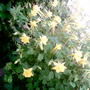 Pict0122