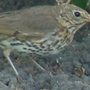 Dsc02297