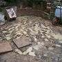 footprints in the mud