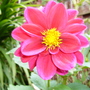P1010764