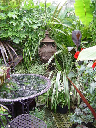 The Southern Hemisphere Garden. August 4th 2008.