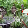 The Southern Hemisphere Garden. August 4th 2008.