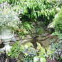 Garden_august_4th_2008