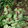 Dscn0454