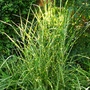 P1020777