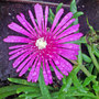 Dsc00088_edited