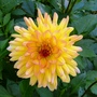 P1020781