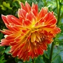 P1020782