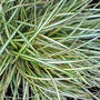 Dsc00072_edited