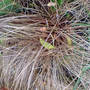 Dsc00065_edited