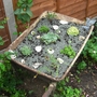 Take one rusty wheelbarrow.....................