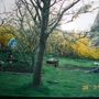 Our garden in 1998 - when the hard work began!
