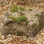 Yet Another Stone.