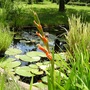 Lower garden pond with glad in foreground.