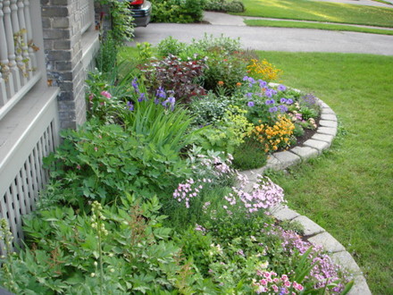 More of my front garden