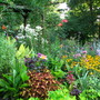 This garden bed is at it's peak...most of the rest are already past their prime, all down hill from here...sob.