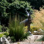 Pine Lodge Gardens - The Winter Garden