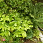 2008_08050052_2_