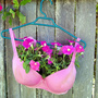What about this for a planting idea.