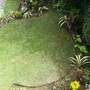 Front garden from upstairs