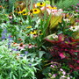 Alittle closer shot... I said I was going to quit doing that didn't  I ....I'm sorry ....smiles...wink,wink 
